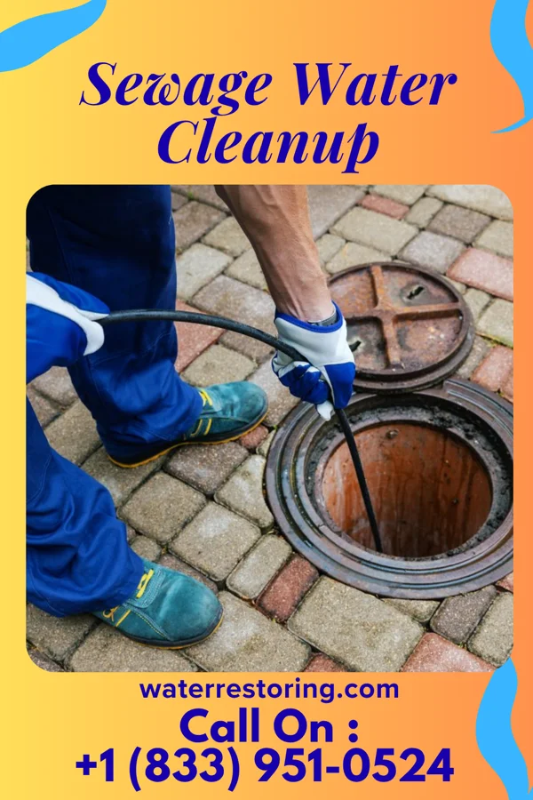 Sewage Water Cleanup in Rotonda, FL