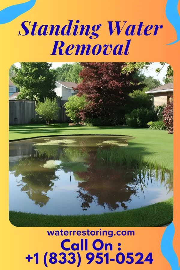 Standing Water Removal in Rotonda, FL